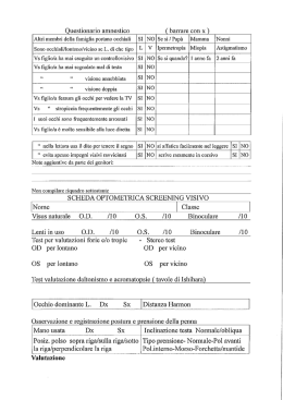3.QUESTIONARIO PESV
