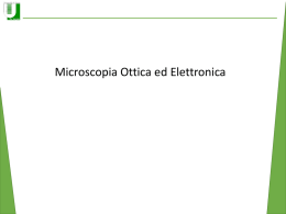 Microscopia Ottica ed Elettronica