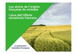 Les atouts de l`origine française de céréales I plus