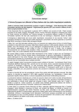 L`Unione Europea non difende la filiera italiana del riso dalle