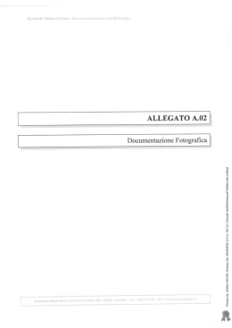 Firmato Da: SASSU MICHEL Emesso Da