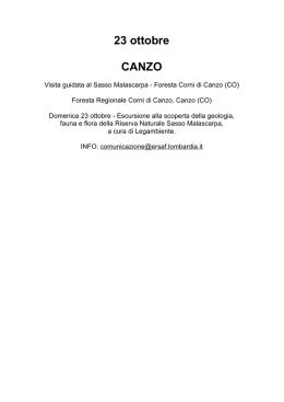 23 ottobre CANZO - Milano in vetta