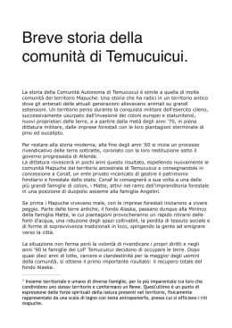 Breve storia dei Temucuicui