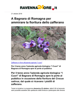 A Bagnara di Romagna per ammirare la fioritura