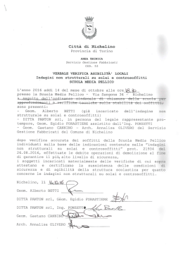 007_Verbale verifica stabilit&agrave; media Pellico 011