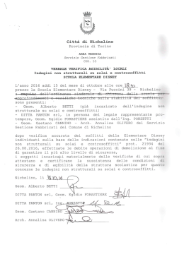 013_Verbale Verifica stabilit&agrave; Elem Disney 005