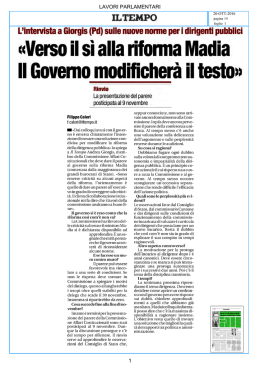 lavori parlamentari 1