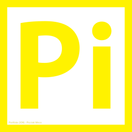 Portfolio 2016 - Picciati Mirco