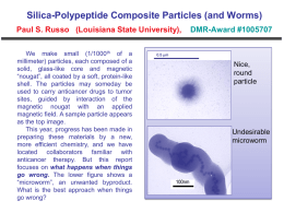 NSF Nuggets 2010: Silica-Polypeptide Composite Particles (and Worms)