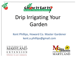 MG6 Drip Irrigating Your Garden