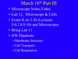 3.16 Microscopes
