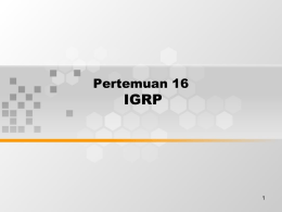 IGRP Pertemuan 16 1