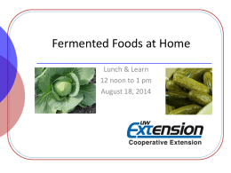 Fermented Foods at Home Lunch &amp; Learn 12 noon to 1 pm