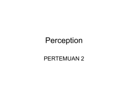 Perception PERTEMUAN 2