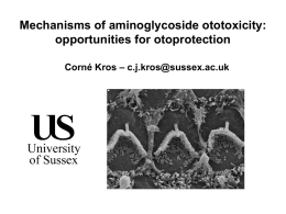 Mechanisms of aminoglycoside ototoxicity: opportunities for otoprotection – Corné Kros