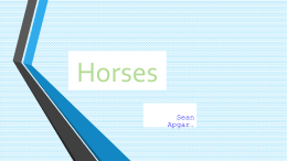Horses by Sean