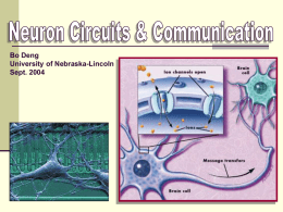 Neuron Circuits and Communication