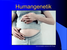 Humangenetik Gruppenarbeit (PPT, 335 KB)