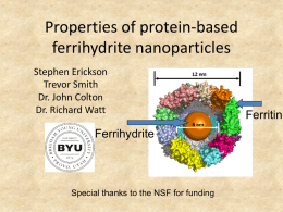 "Properties of protein-based ferrihydrite nanoparticles"