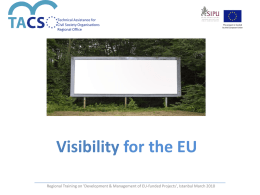 EU Visibility Guidelines