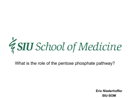 pentose phosphate pathway