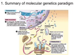 1. Summary of molecular genetics paradigm