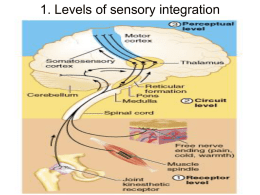 1. Levels of sensory integration