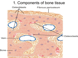 17. Musculoskel. disorders.ppt