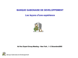 Gabon Development Bank: Lessons from Experience