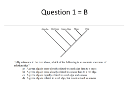 Question 1 = B