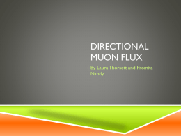 Directional Muon Flux Study