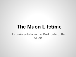dark_side_of_the_muon.pptx
