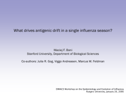 What Drives Antigenic Drift in Single Influenza Season?
