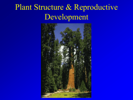 Plant Structure, Reproduction Development