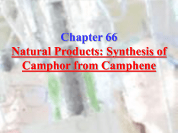 Chapter 66: Natural Products: Synthesis of Camphor from Camphene