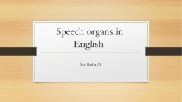 Speech organs in English PPT.pptx