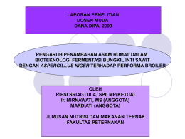 PERSENTASI LAPORAN DIPA RIESI 09