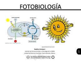 fotobiologia 1-PS Fluorescencia