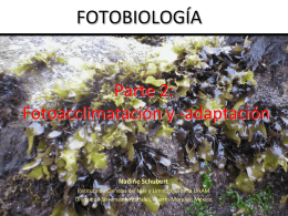 fotobiologia 2-Fotoaclimatacion