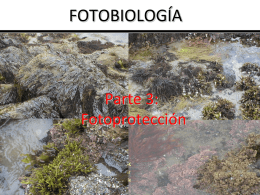 fotobiologia 3-Fotoproteccion