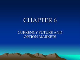CHAPTER 6. Future and Option Currency