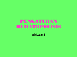 PENGATURAN HEMATOPOEISIS