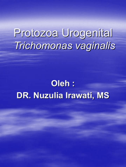 protozoa urogenital trich vaginalis