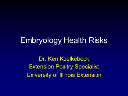 Embryology Health Risks