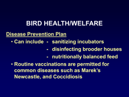 Organic Poultry Production - Diseases and Biosecurity