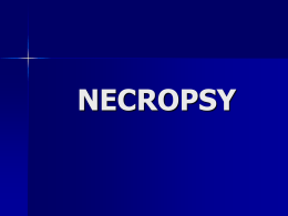 Necropsy