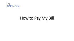 How to Make a Payment Online