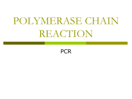 Powerpoint Presentation: Polymerase Chain Reaction
