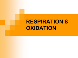 Powerpoint Presentation: Respiration and the Kreb's Cycle