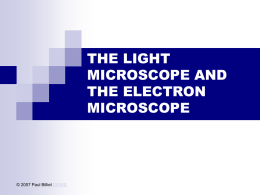 Powerpoint Presentation:The Light Microscope and the Electron Microscope